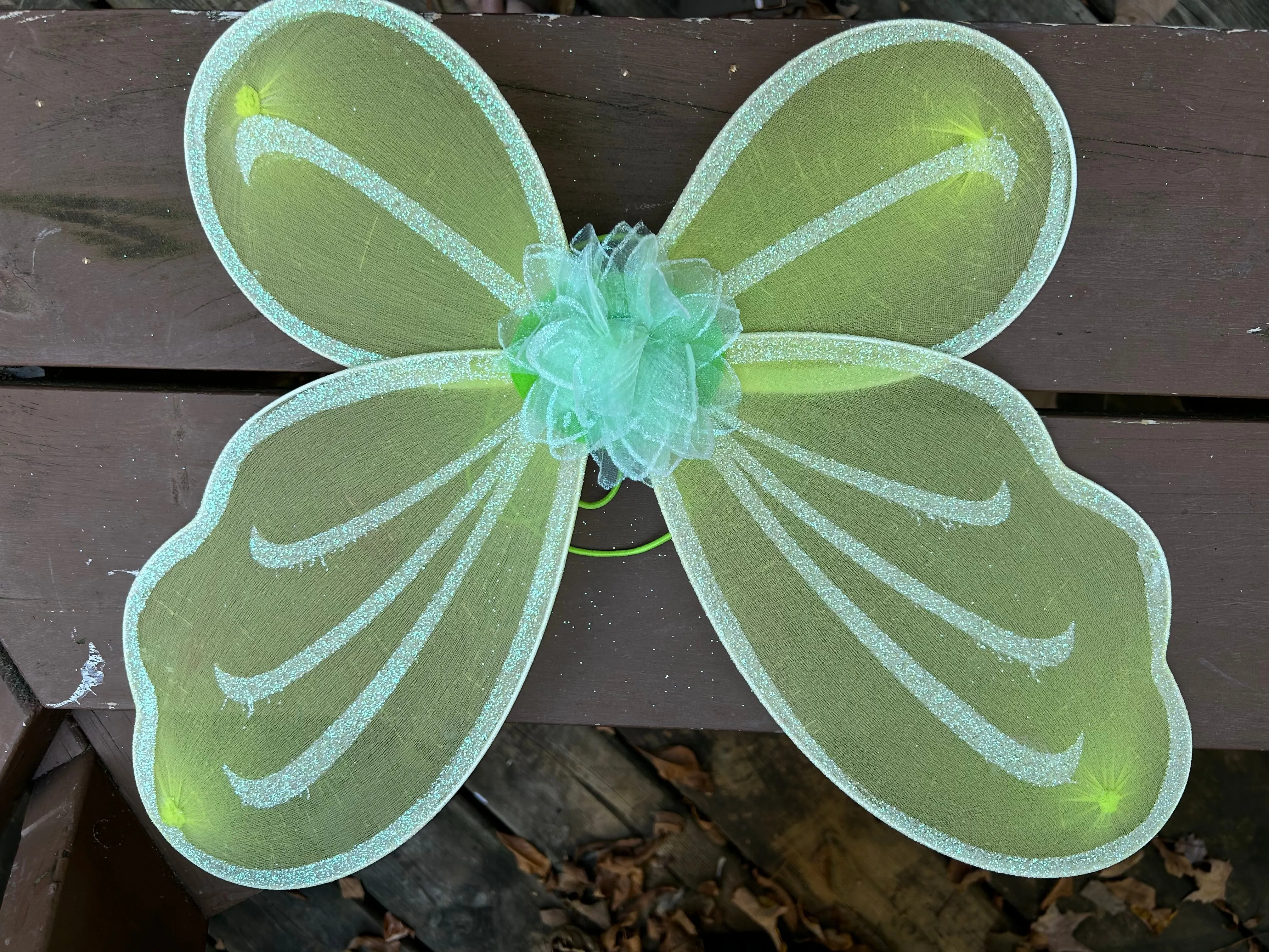 Child Fairy Wings